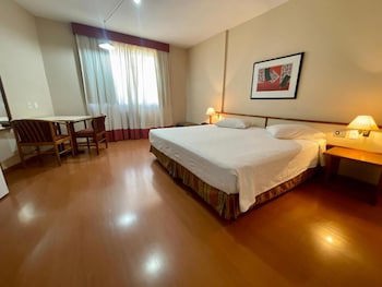 Cesar Park Juiz De Fora Hotel