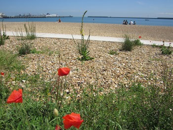 Best Western Premier Dover Marina Hotel & Spa