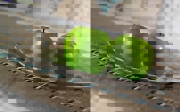 Biz Cevahir Hotel Sultanahmet