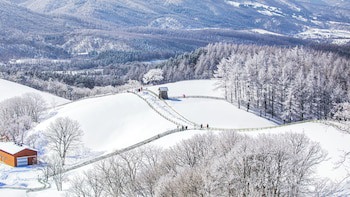 Holiday Inn Resort Alpensia Pyeongchang, An Ihg Hotel