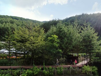 Mayhills Resort