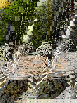 Griffon Boutique Hotel - Boutique Class