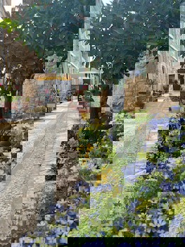 Griffon Boutique Hotel - Boutique Class