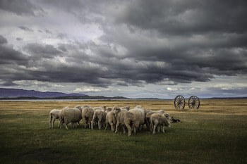 The Singular Patagonia