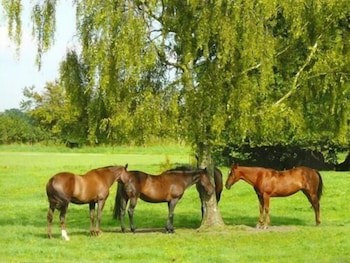 Blounts Court Farm