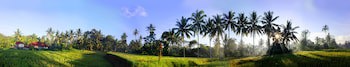 Ayurvedagram Bali