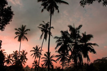 Ayurvedagram Bali