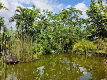 Ayurvedagram Bali