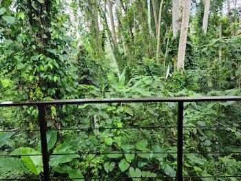 Ayurvedagram Bali