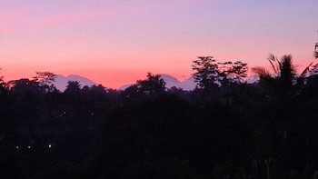 Ayurvedagram Bali