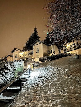 Aldea Andina Hotel & Spa