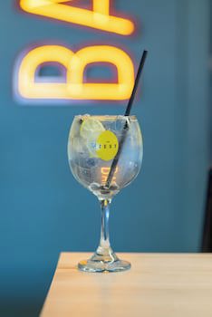 Ibis Concepcion