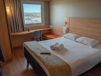 Ibis Concepcion