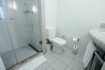 Ibis Concepcion