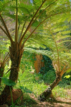 Foxwood House