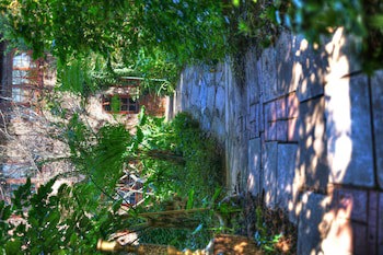 Foxwood House