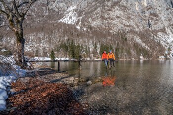 Alpik Chalets - Bohinj
