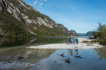 Alpik Chalets - Bohinj