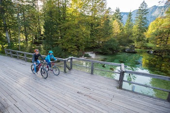 Alpik Chalets - Bohinj