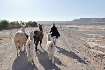 Noi Casa Atacama