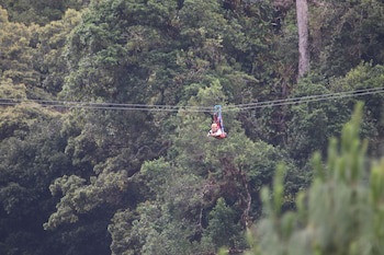 Tree Trek Boquete Adventure Park