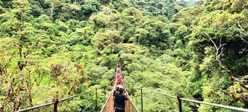 Tree Trek Boquete Adventure Park