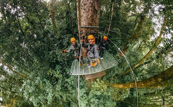 Tree Trek Boquete Adventure Park