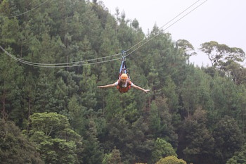 Tree Trek Boquete Adventure Park