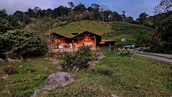 Tree Trek Boquete Adventure Park