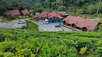 Tree Trek Boquete Adventure Park