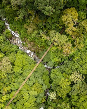 Tree Trek Boquete Adventure Park