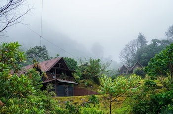 Tree Trek Boquete Adventure Park