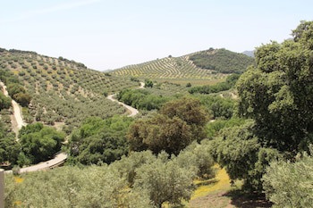 Cortijo La Presa