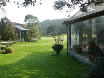 Bethells Beach Cottages