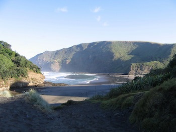 Bethells Beach Cottages
