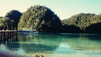 Club Tara Resort
