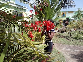 Cabier Ocean Lodge