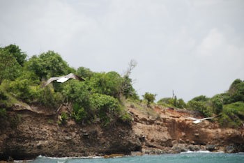 Cabier Ocean Lodge