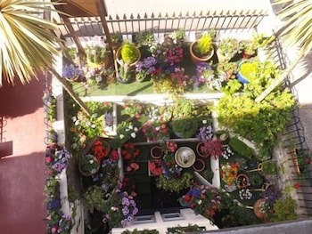 Rosita Hotel