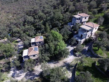 Geras Olive Grove