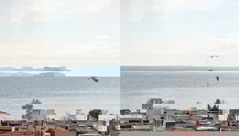 Seraglio Hotel & Suites