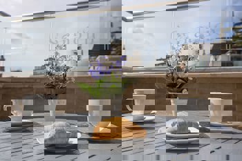 Seraglio Hotel & Suites