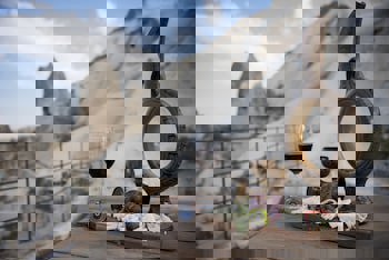 Anatolian Houses Cave Hotel & Spa