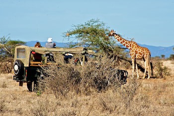 Samburu Intrepids Tented Camp