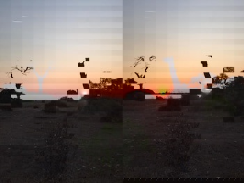 Hemerans Anatolia Otel