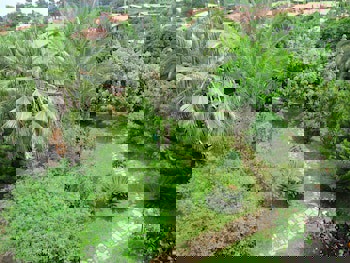 Hemerans Anatolia Otel