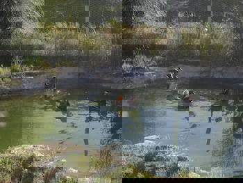 Hemerans Anatolia Otel