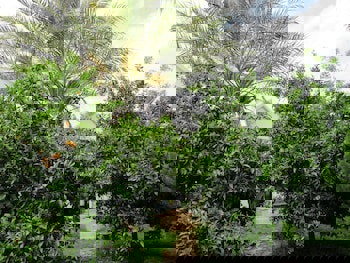 Hemerans Anatolia Otel