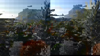 Hemerans Anatolia Otel