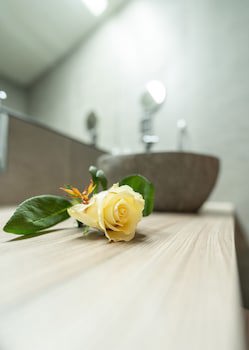 Bernstein B&B galeri fotoğrafı